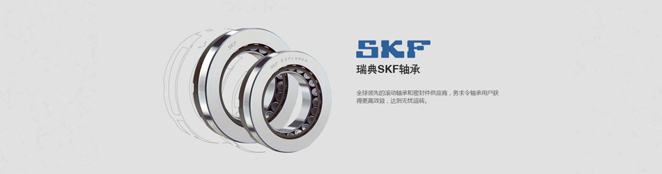 SKF进口轴承